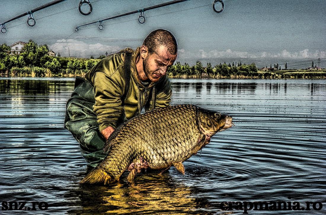 Senior Trophy (2) - 2013 - 1012357hdrmode2.jpg